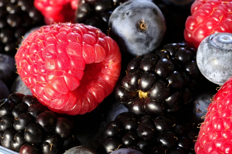 a bowl of blackberries, raspberries and blueberries, by Dietmar Damerau, pexels, renaissance, avatar image, close-up photo, platinum, 1647