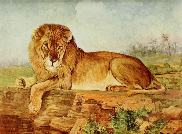 a painting of a lion laying on a log, by Edward Lear, portrait of a handsome, anna nikonova, lion's gate, william henry hunt