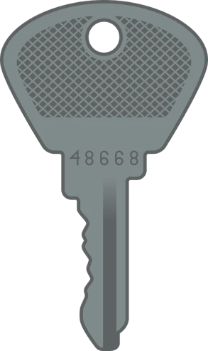 a key shaped like a tennis racket, a digital rendering, by Wayne England, pixabay, ascii art, metal key for the doors, t - 8 0 0, sennheiser, 8k detail