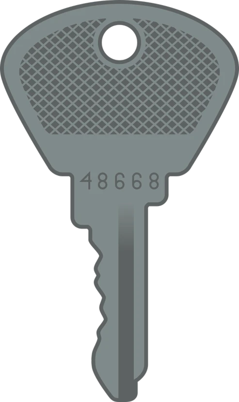 a key shaped like a tennis racket, a digital rendering, by Wayne England, pixabay, ascii art, metal key for the doors, t - 8 0 0, sennheiser, 8k detail