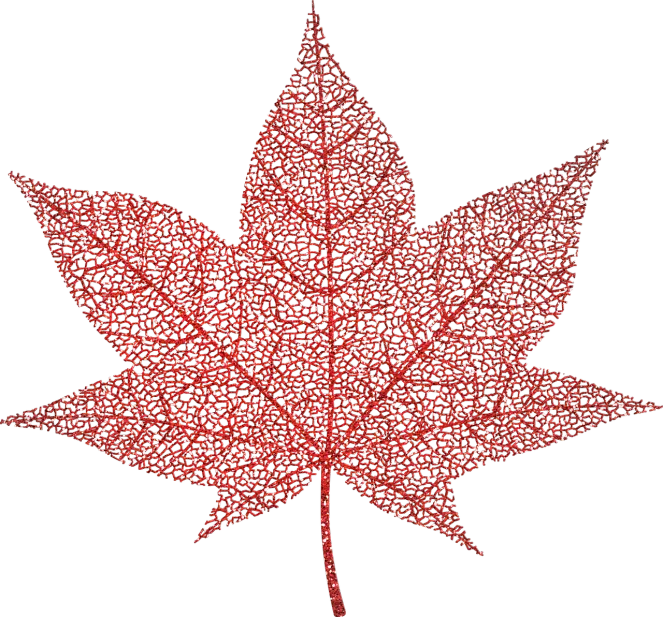 a red glitter maple leaf on a black background, pointillism, transparent background, hd —h 1024, glass mosaic, bling