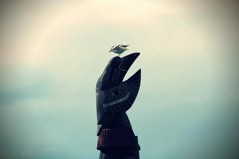 a bird sitting on top of a wooden statue, by Matt Stewart, fish flying over head, lomo, haida, high res photo