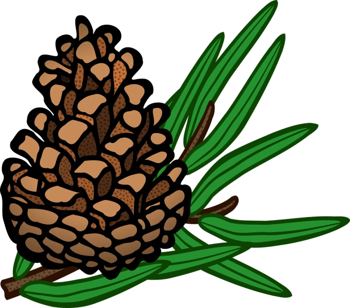 a pine cone on a branch with leaves, a digital rendering, inspired by Masamitsu Ōta, black backround. inkscape, header, clipart, no gradients