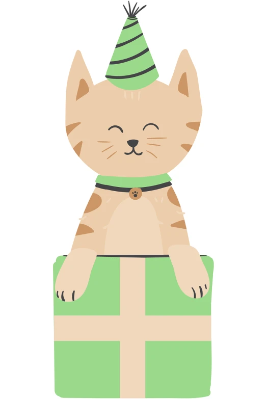 a cat sitting on top of a green present box, an illustration of, inspired by Masamitsu Ōta, mingei, caracter with brown hat, flat illustration, puppet, fully posable