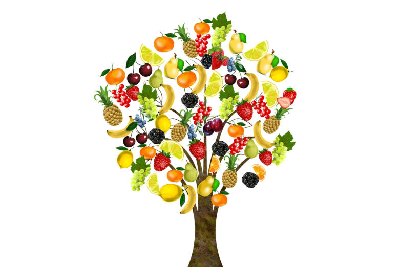 a close up of a fruit tree on a black background, a digital rendering, by Eva Švankmajerová, pixabay, cut out collage, avatar image, salad, artistic!!! composition