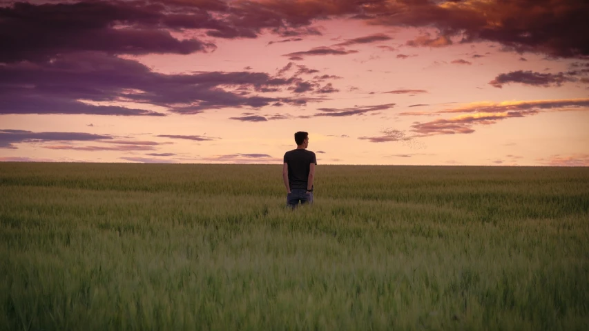 a man standing in a field of tall grass, inspired by Jakub Schikaneder, digital art, pink golden hour, documentary still, distant full body view, calmly conversing 8k