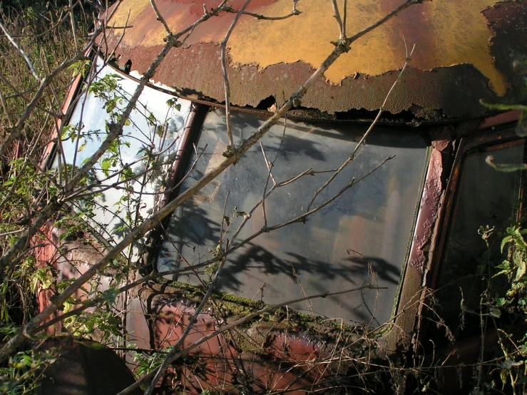 an old rusted truck sitting in the middle of a forest, by Edward Corbett, flickr, assemblage, window. netherlands tavern, roof with vegetation, [ closeup ]!!, window glass reflecting