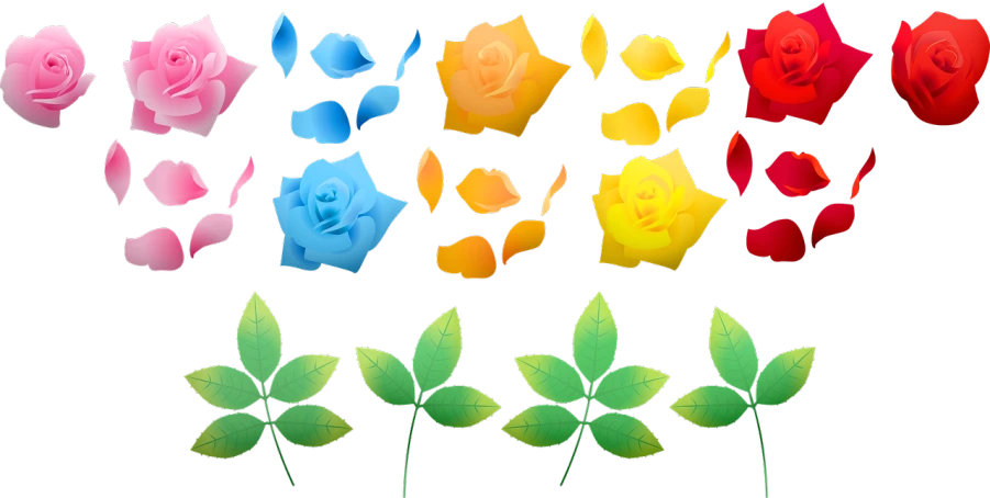 a bunch of different colored roses on a black background, vector art, by Kiyoshi Yamashita, flickr, process art, bushes and leafs, many sakura origami roses, yellow rose, sprite sheet