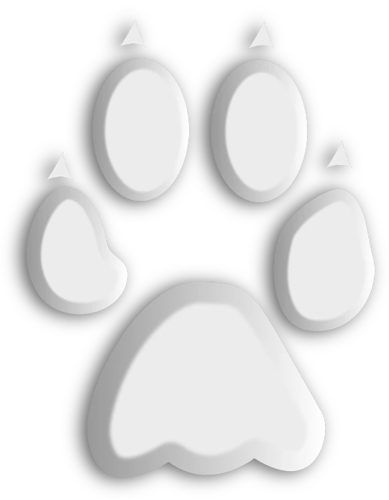 a paw print on a white background, a cartoon, by Kōno Michisei, pixabay, furry art, monochrome 3 d model, 1 0 2 4 x 7 6 8, high school, silver