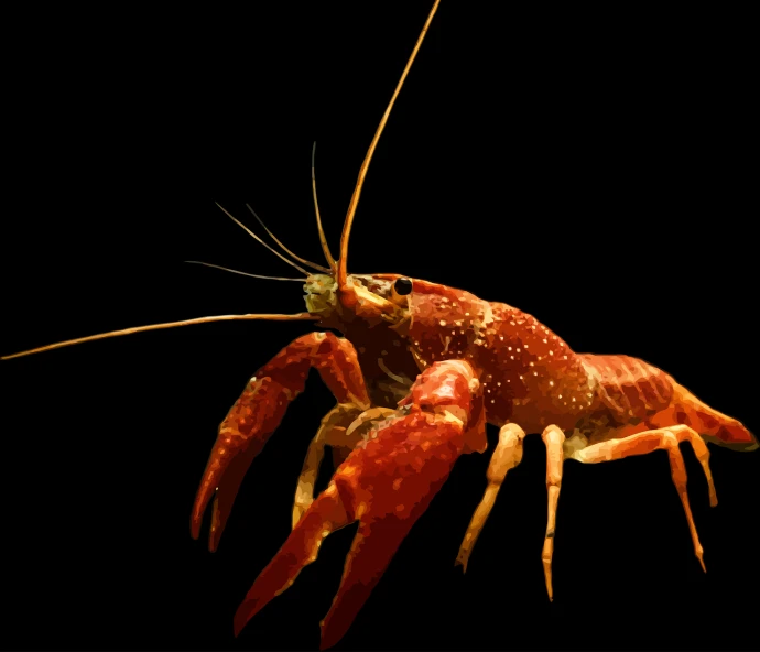 a crust crust crust crust crust crust crust crust crust crust crust crust crust crust crust crust crust crust crust crust crust crust crust crust crust crust crust, by Robert Brackman, shutterstock, hermit crab titan, in front of a black background, red realistic 3 d render, getty images