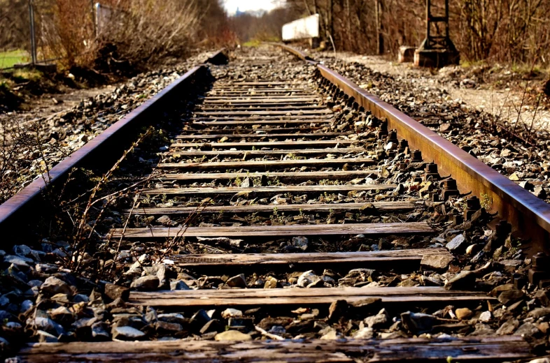 a close up of a train track near some trees, a portrait, by Tom Carapic, shutterstock, deteriorated, winter sun, very detailed picture, in style of mike savad”