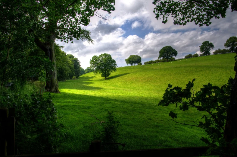 a lush green field with trees in the distance, inspired by Patrick Nasmyth, flickr, hdr!, sycamore, romantic landscape, downhill landscape