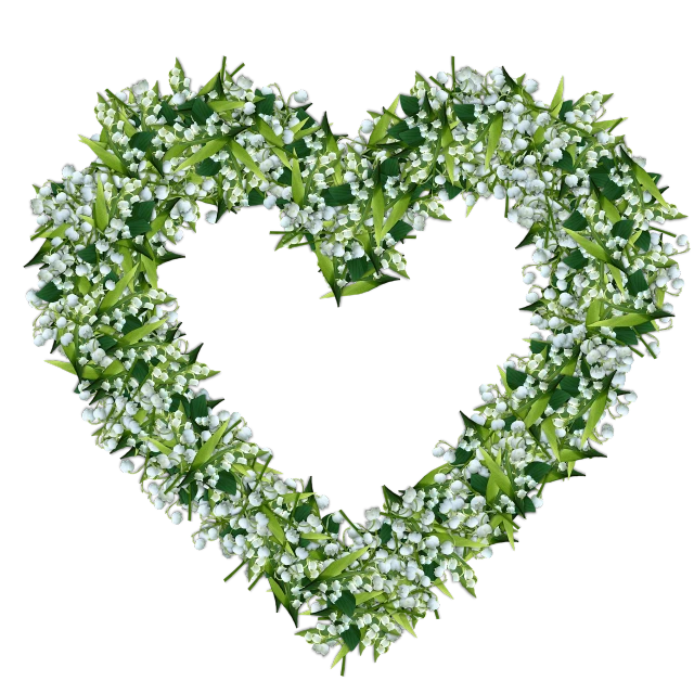 a heart shaped wreath of white flowers on a black background, a digital rendering, green and black colors, gypsophila, high res, ivy