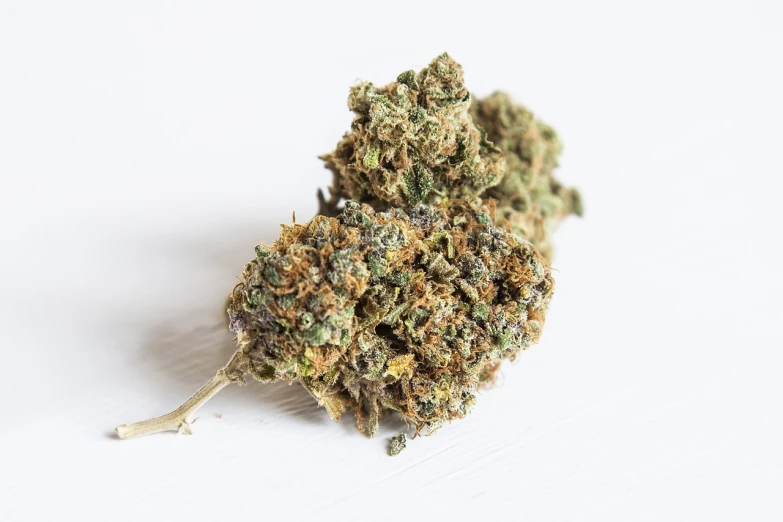 a close up of a flower on a white surface, massurrealism, marijuana, productphoto, highly detailed and colored, on a white table