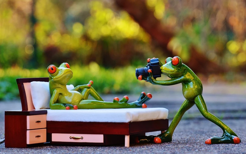 a figurine of a frog taking a picture of another frog, a picture, by Giorgio Cavallon, pixabay contest winner, reclining, seducing the camera, behind the scenes photo, camera photo