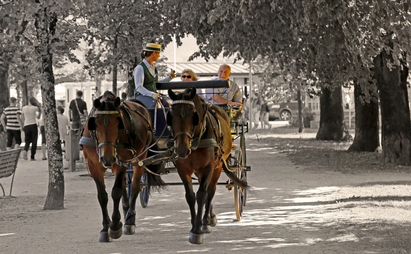 a man riding on the back of a horse drawn carriage, by Hans Schwarz, pixabay contest winner, cute woman, tonemapped, oaks, 2 0 1 0 photo