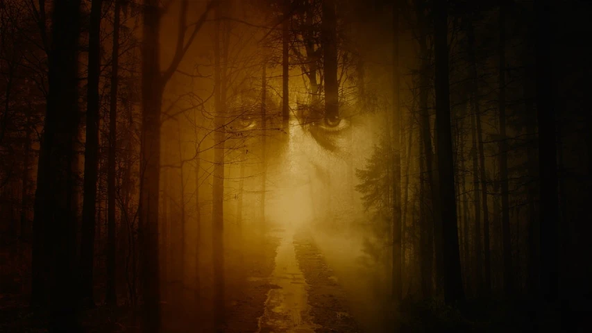 the sun is shining through the trees in the woods, a picture, by Eugeniusz Zak, shutterstock, digital art, evil dead face, misty night, amber eyes, double-exposure