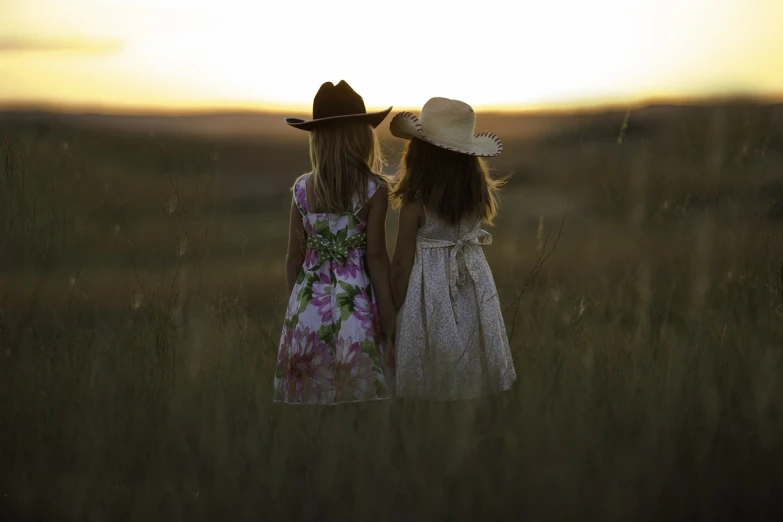 two little girls standing next to each other in a field, a picture, by Linda Sutton, pixabay, hat, back lit, good friends, dress