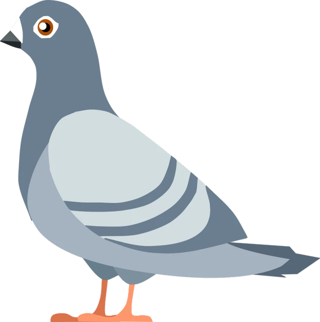 a close up of a bird on a white background, an illustration of, sōsaku hanga, steel gray body, cartoonish and simplistic, pigeon, blue and gray colors