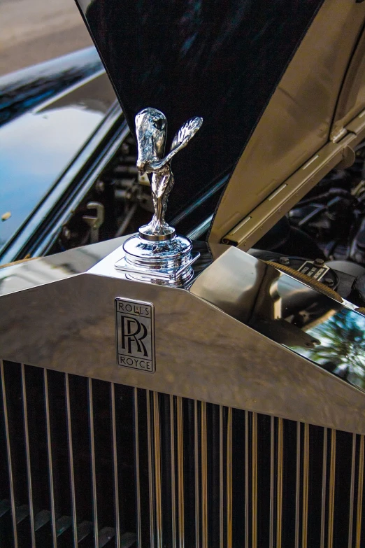 a close up of a car hood ornament, by Raymond Normand, unsplash, renaissance, wraith, 2 4 mm iso 8 0 0 color, engine, marble!! (eos 5ds r