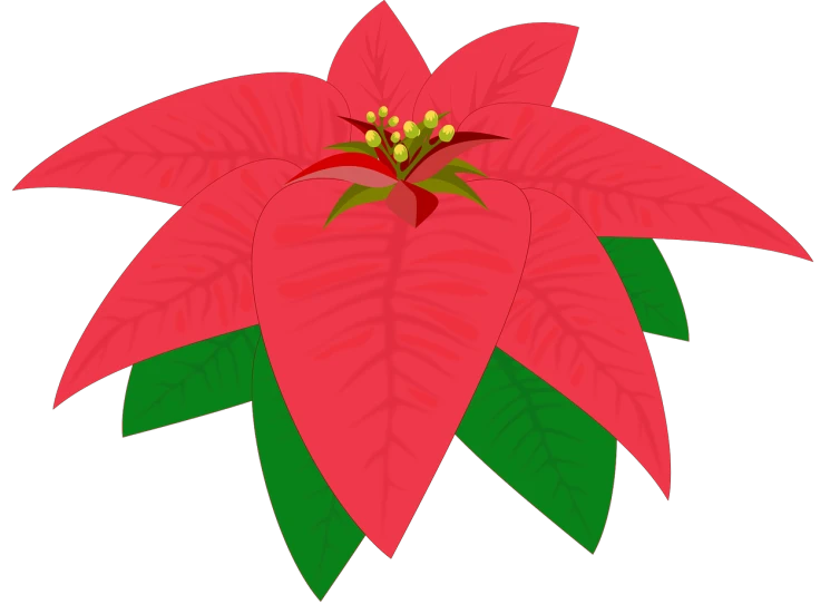 a red flower with green leaves on a black background, a screenshot, inspired by Masamitsu Ōta, hurufiyya, christmas tree, lineless, seven pointed pink star, santa