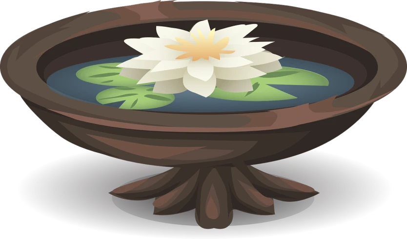 a bowl of water with a flower in it, a digital painting, inspired by Josetsu, vectorized, standing gracefully upon a lotus, wikihow illustration, mythical shrine