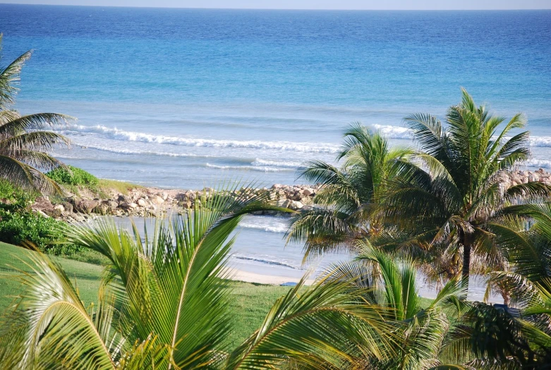 a beach with palm trees and a body of water, a photo, flickr, varadero beach, :: morning, view from high, back yard