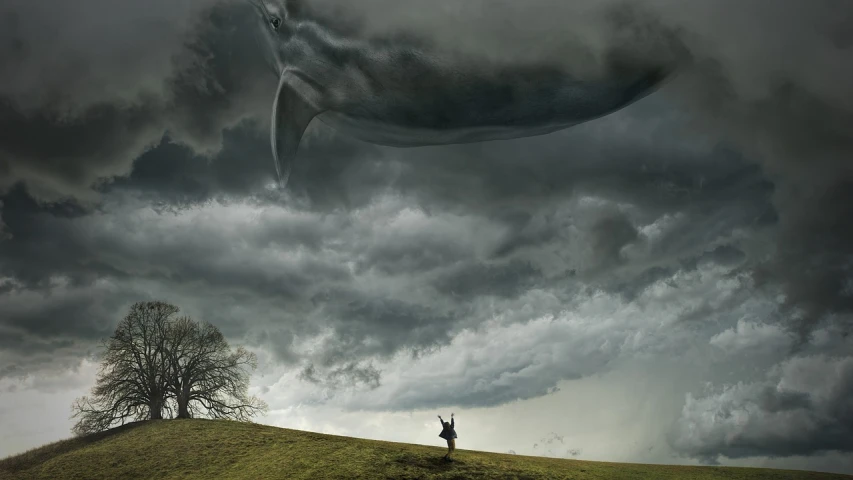 a man standing on top of a lush green field under a cloudy sky, a matte painting, by Artur Tarnowski, surrealism, whale fall, an image of a tornado, alien abduction, who is looking up at it in fear