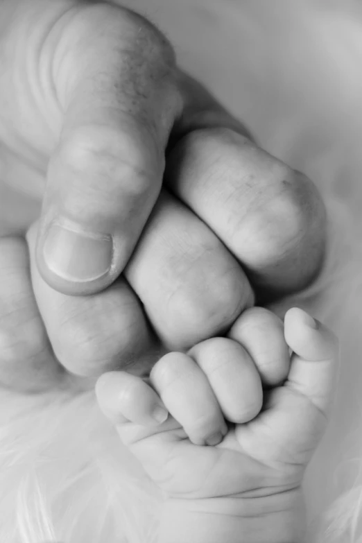 a close up of a person holding a baby's hand, a black and white photo, incoherents, closeup of fist, high details photo