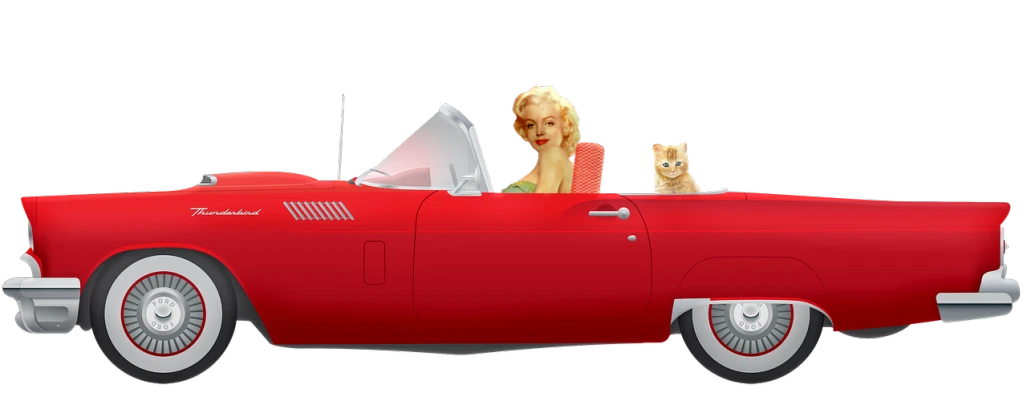 a woman in a red car with two cats, a digital rendering, inspired by Marilyn Bendell, detail render, marilyn monroe, viewed from very far away, with a black background