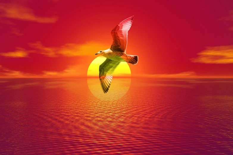 a bird flying over a large body of water, digital art, inspired by Igor Zenin, digital art, bright yellow and red sun, on a red background, mid shot photo, very accurate photo