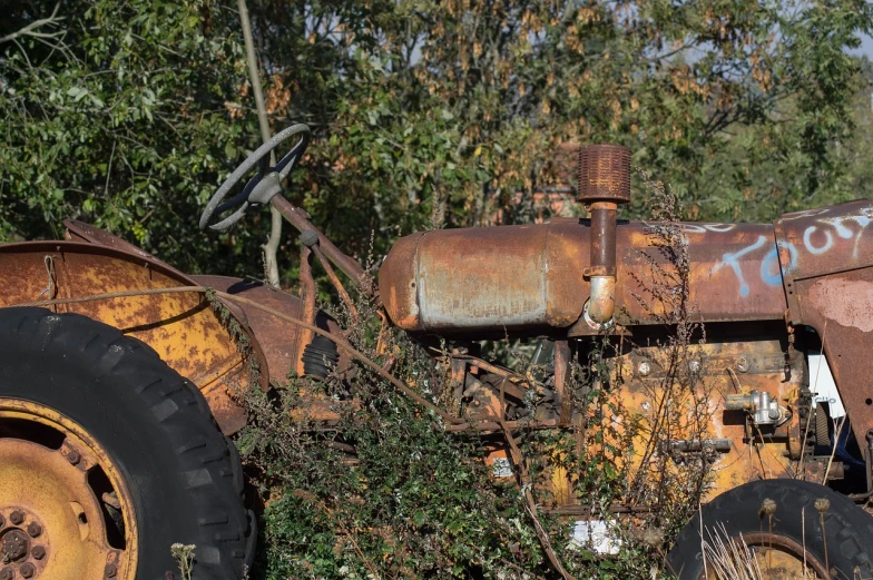 a rusted out tractor sitting in a field, by Richard Carline, amongst foliage, detailed zoom photo, f / 3, a messy