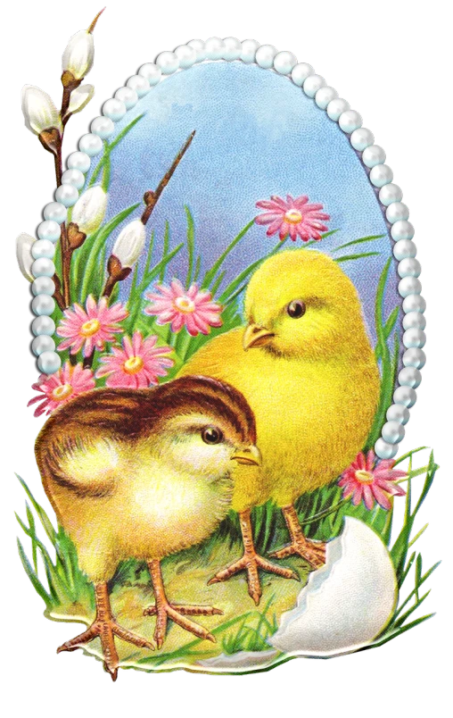 a couple of chicks standing next to each other, a digital rendering, by Ethel Schwabacher, shutterstock, art nouveau, pearls and oyesters, springtime, -h 1024, black