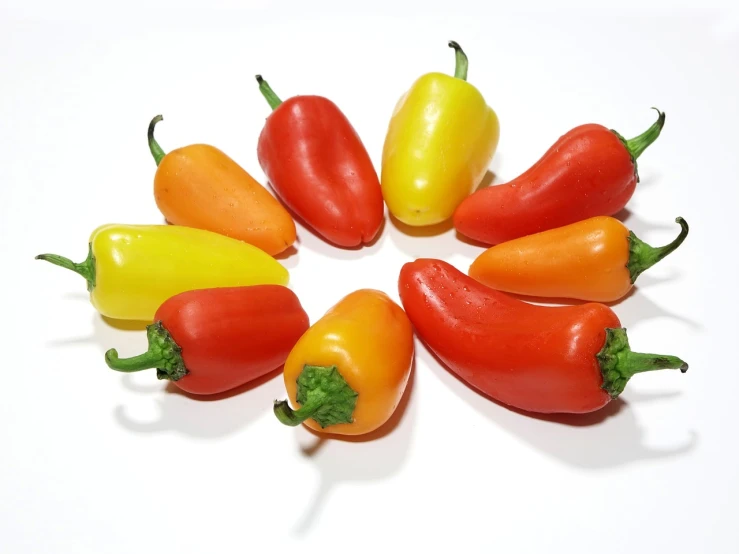 a group of peppers arranged in a circle, 1930897407, full product shot, shiny crisp finish, qiangshu