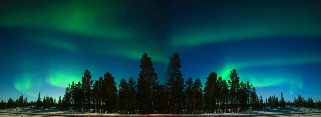 a group of trees that are standing in the snow, by Anato Finnstark, trending on pixabay, symbolism, aurora borealis in the sky, green lights, wide lens shot, green blue red colors