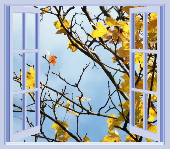 a bird sitting on top of a tree next to an open window, a photo, inspired by Maxfield Parrish, pixabay, conceptual art, golden leaves at frame border, no gradients, sky blue, autumn leaves background