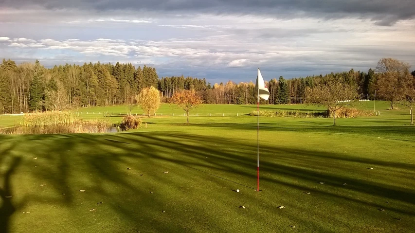 a golf course with trees in the background, a picture, by Jesper Knudsen, baroque, cold sunny weather, very low quality, mid fall, bc