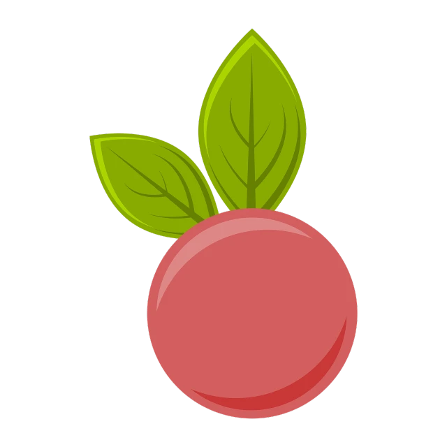 a red radish with green leaves on a black background, concept art, peach and goma style, game icon asset, giant pink full moon, peach embellishment