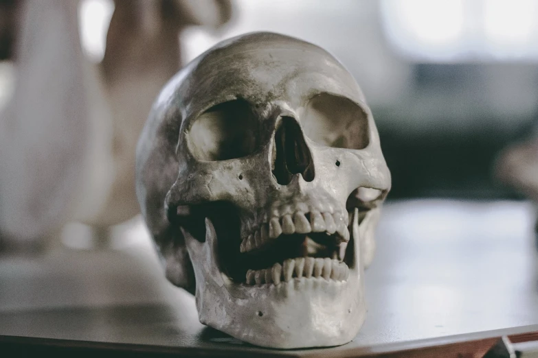 a skull sitting on top of a wooden table, a marble sculpture, unsplash, avatar image, round jaw, extremely pale white skin, 33mm photo