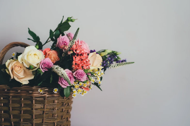 a basket with a bunch of flowers in it, inspired by François Boquet, pexels, on a gray background, middle close up composition, elegant colorful, vintage colors