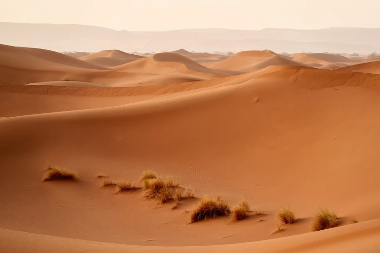 a person riding a horse in the desert, by Etienne Delessert, shutterstock, les nabis, landscape wide shot, orange grass, many smooth curves, sand storm