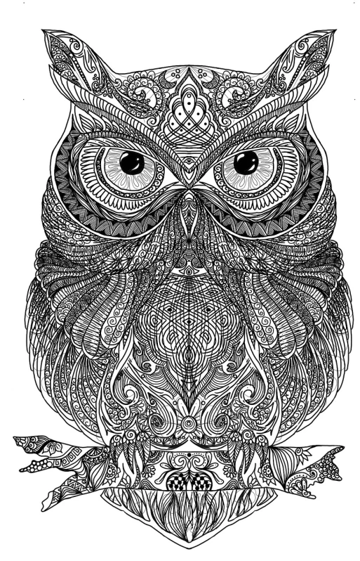 a black and white drawing of an owl, by Adam Marczyński, trending on pixabay, arabesque, glossy intricate design, aaaaaaaaaaaaaaaaaaaaaa, totem, detailed wide shot