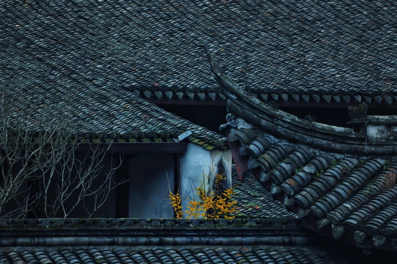 a bird is perched on the roof of a building, by Yu Zhiding, atmospheric beautiful details, late autumn, old house, tiles