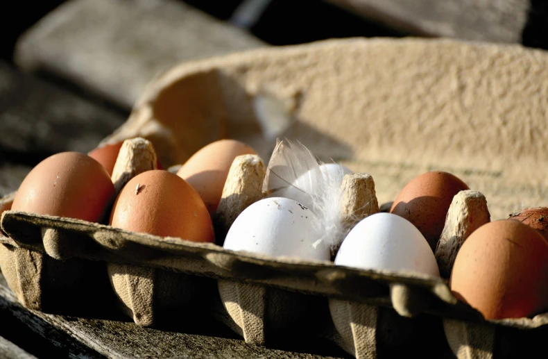 a carton filled with eggs sitting on top of a wooden table, by Sylvia Wishart, renaissance, warm sunshine, close-up shoot, breeding, various colors