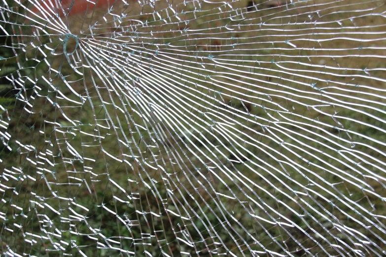 a broken glass window with a stop sign in the background, net art, spider thorax, 15081959 21121991 01012000 4k, !!natural beauty!!, complex pattern