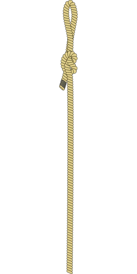 a piece of rope with a knot on it, an album cover, inspired by Shūbun Tenshō, pixabay, clean cel shaded vector art, very tall and slender, kill bill, very long neck