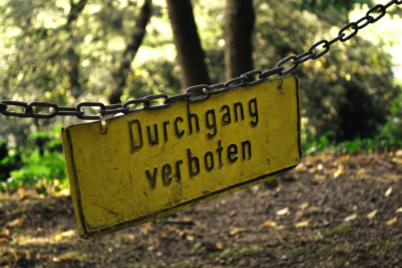 a yellow sign hanging from a chain in a forest, a picture, by Dietmar Damerau, flickr, dust around, dungeondraft, style of vogelsang, everyone having fun