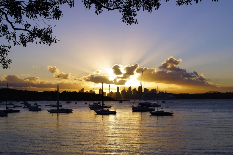 a group of boats floating on top of a body of water, a photo, inspired by Sydney Carline, shutterstock, hurufiyya, silhouetted, lilac sunrays, stock photo, sydney park