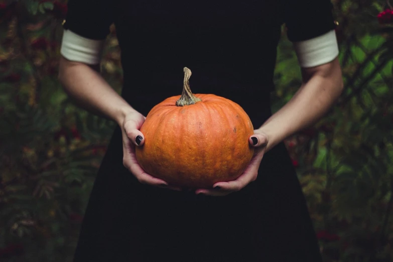 a woman in a black dress holding a pumpkin, by Elsa Bleda, unsplash, unknown artist, 2b, full image, profile picture 1024px