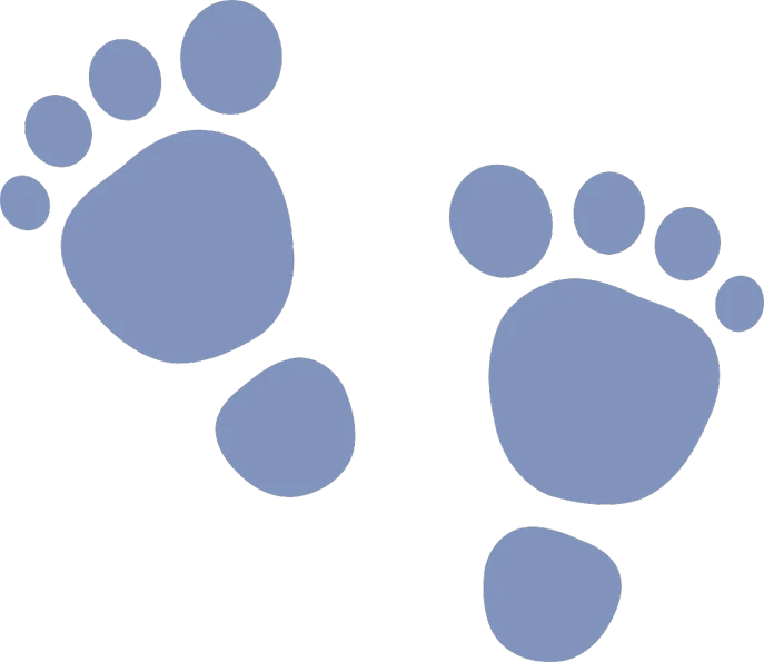 a pair of blue footprints on a black background, cartoonish, bears, zoomed out very far, graphic